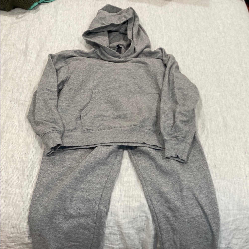 Ag Adriano Goldschmied Gray Sweatshirt